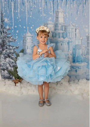 Light Blue Organza Frozen Lace Up Back Flower Girl Dress